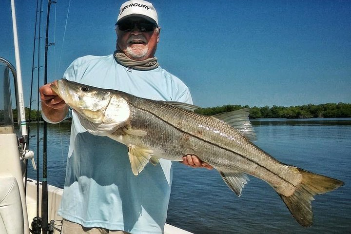 Private Tampa Florida Inshore Fishing Charters - Photo 1 of 16